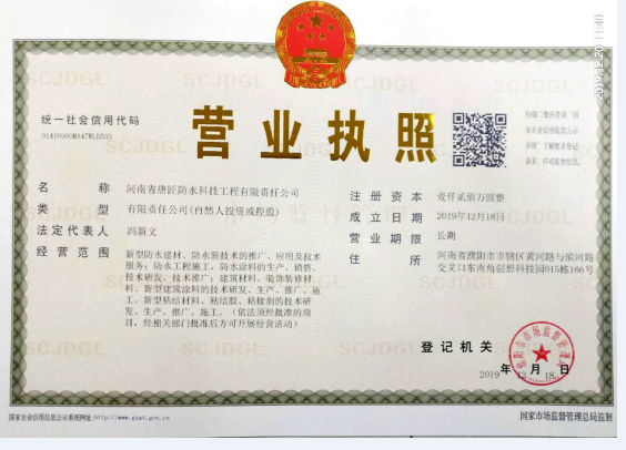 执照